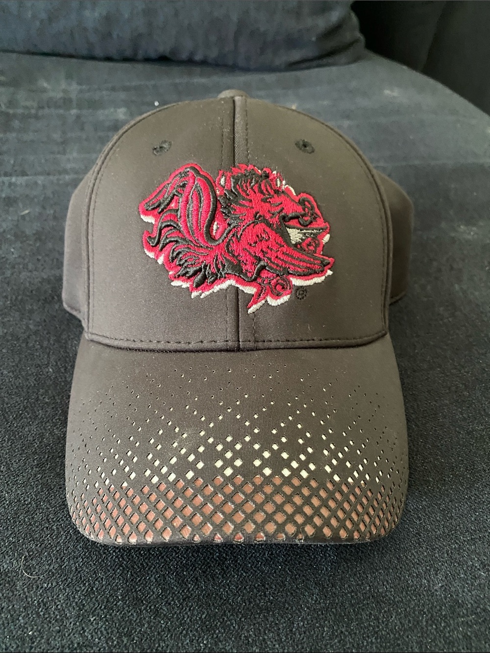 SC Gamecocks hat